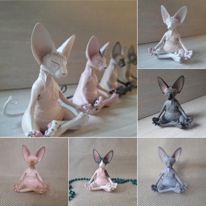 🔥😻Sphynx Cat Meditate Yoga(BUY 2 FREE SHIPPING)