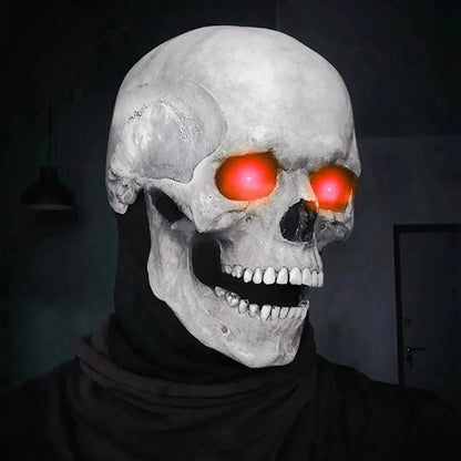 Full Head Skull mask