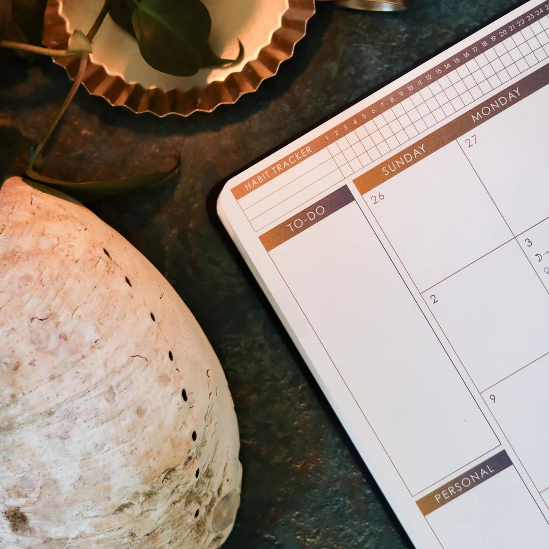 🔥Last Day 49% OFF -📚The 2026 Astrology Planner: Your Anchor in a Chaotic World 🌙✍️