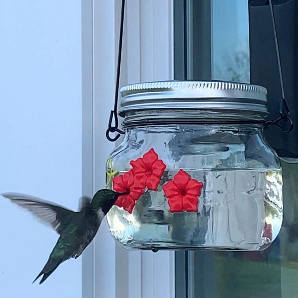 🎉Hot Sale 🎉 Beautiful Mason Jar Hummingbird Feeder W/ Three Ports