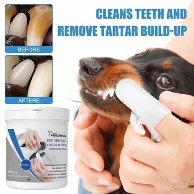 Pet Teeth Macular Bacteria Cleaning Finger Wipes