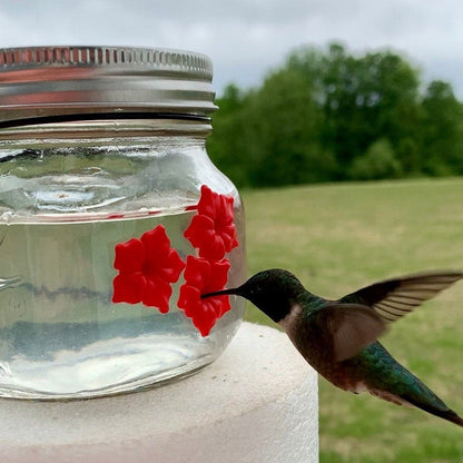 🎉Hot Sale 🎉 Beautiful Mason Jar Hummingbird Feeder W/ Three Ports