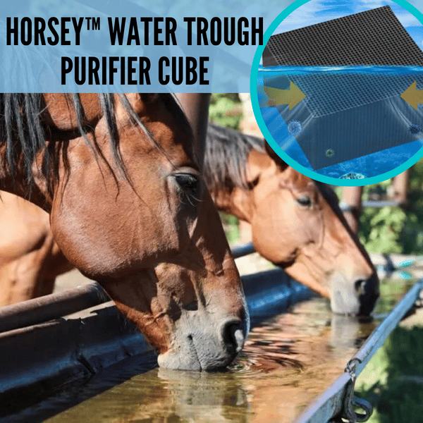 🔥 Livestock Water Trough Purifier