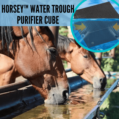 🔥 Livestock Water Trough Purifier