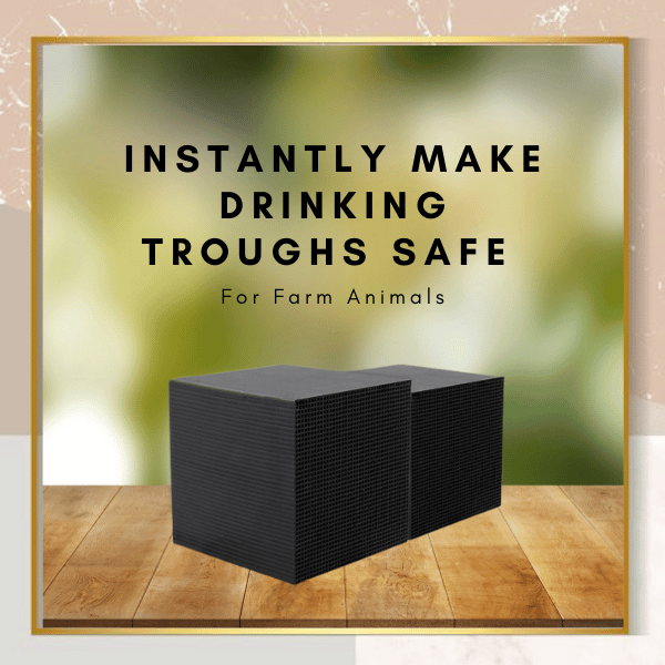 🔥 Livestock Water Trough Purifier