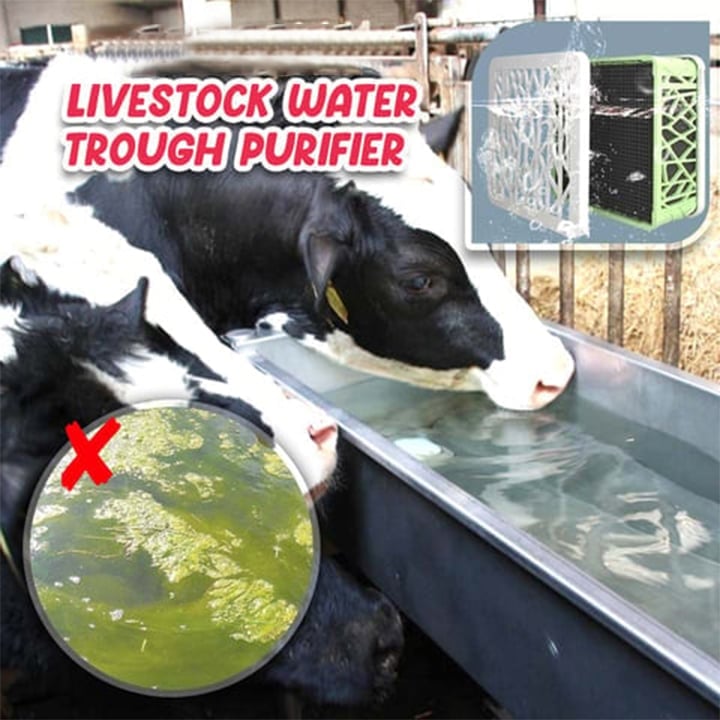 🔥 Livestock Water Trough Purifier