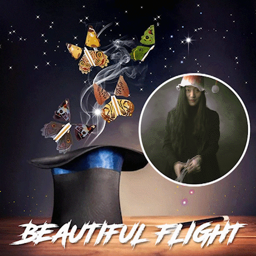 🔥Last day 49% OFF🔥Magic Flying Butterfly